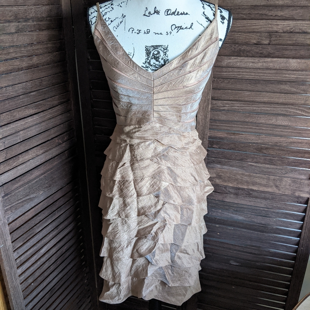 Adrianna Papell Cocktail Dress-14